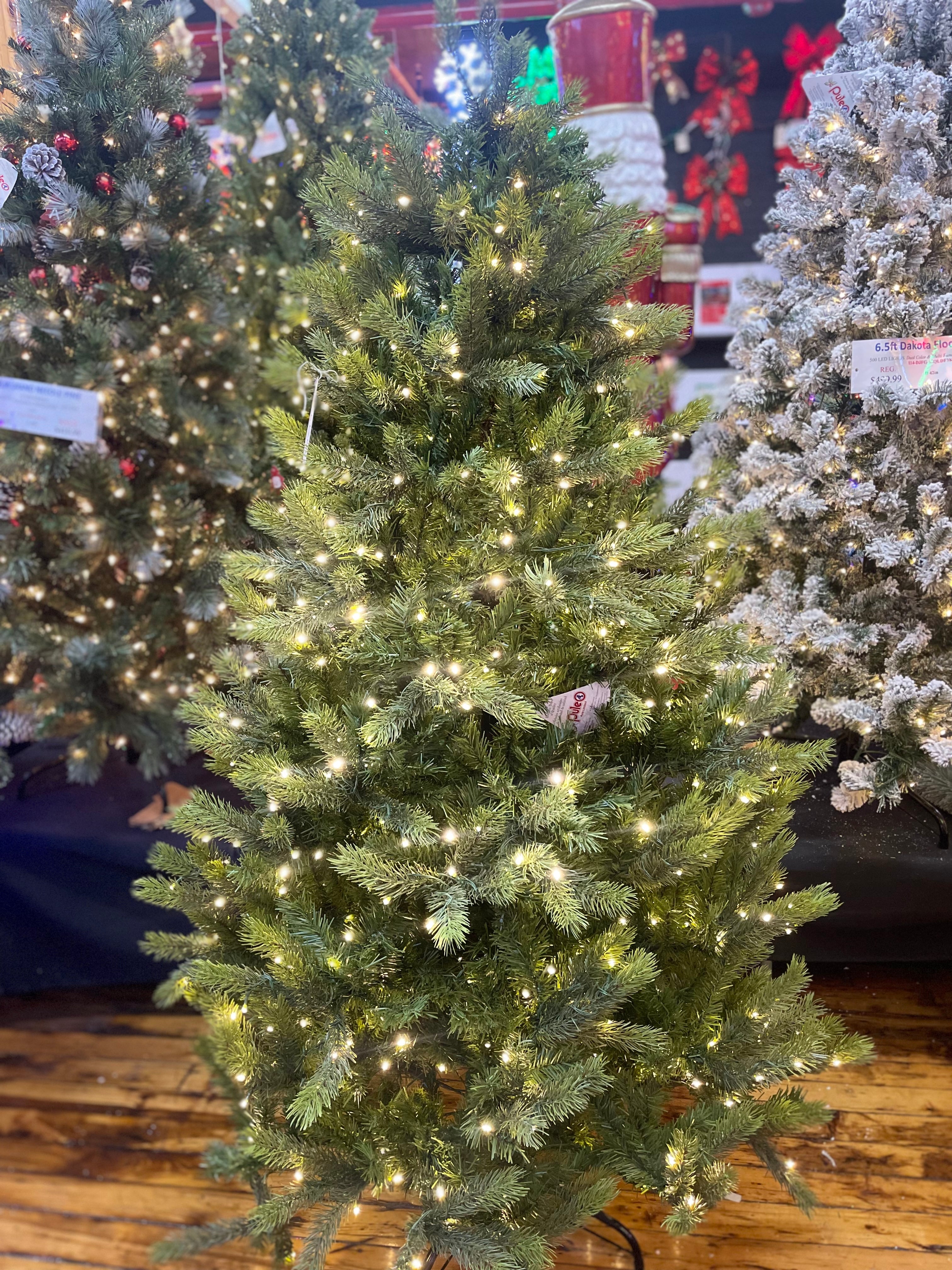 Puleo International 6.5 Pre-Lit Kensington Fir Tree